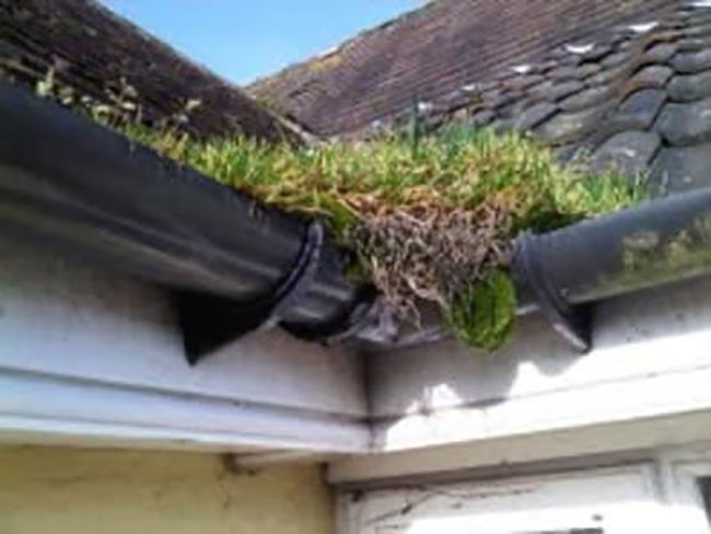 Cleaning Blocked Gutters in St Neots
